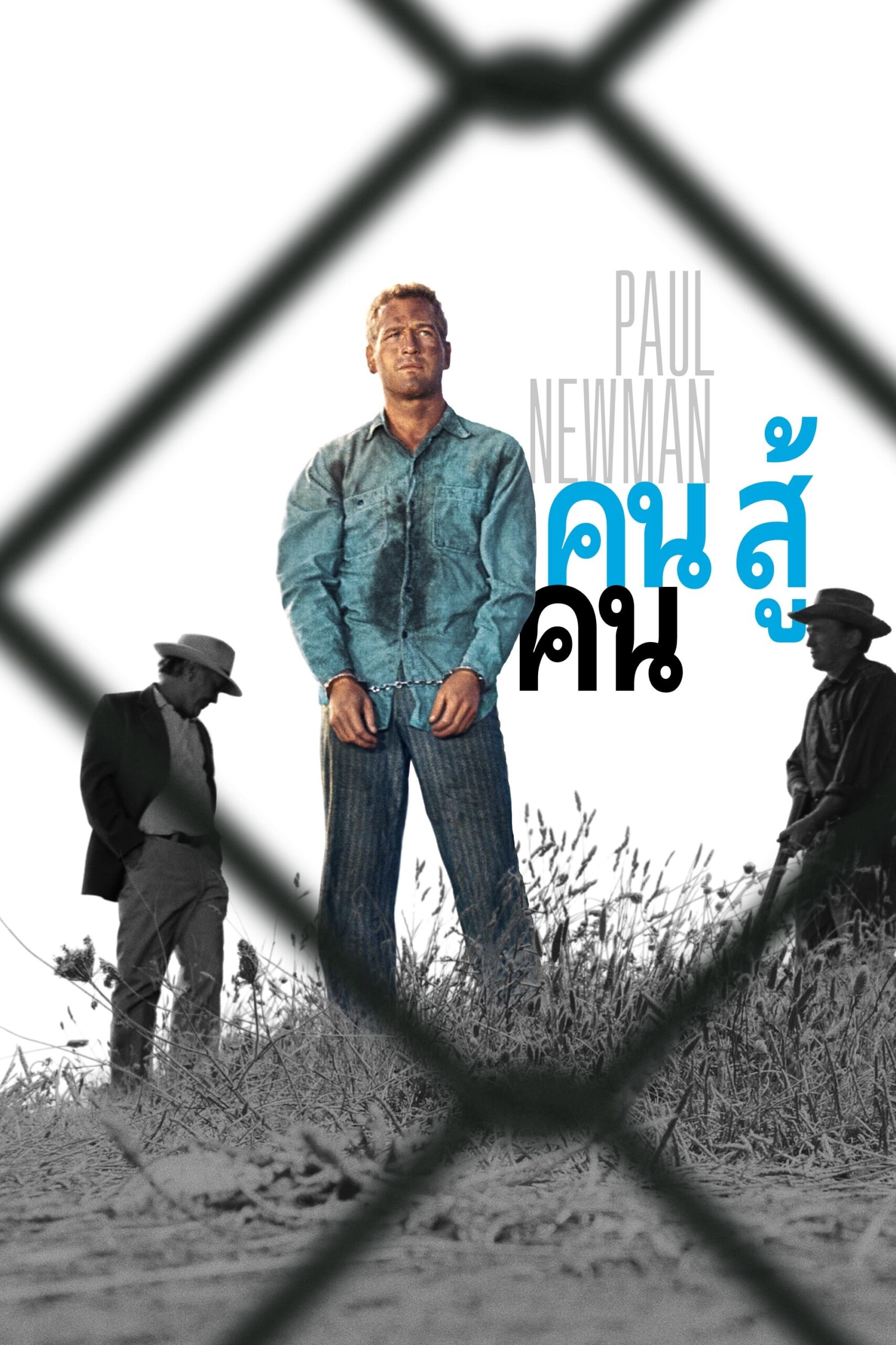 โปสเตอร์หนัง Cool Hand Luke (1967) คนสู้คน