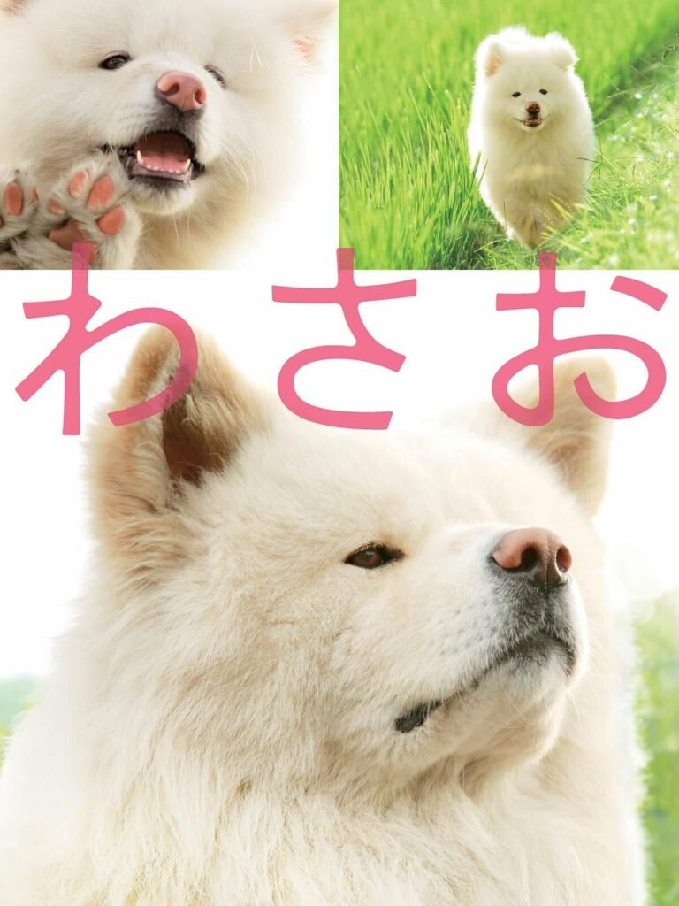 ดูหนัง Wasao (2011) วาซาโอะ