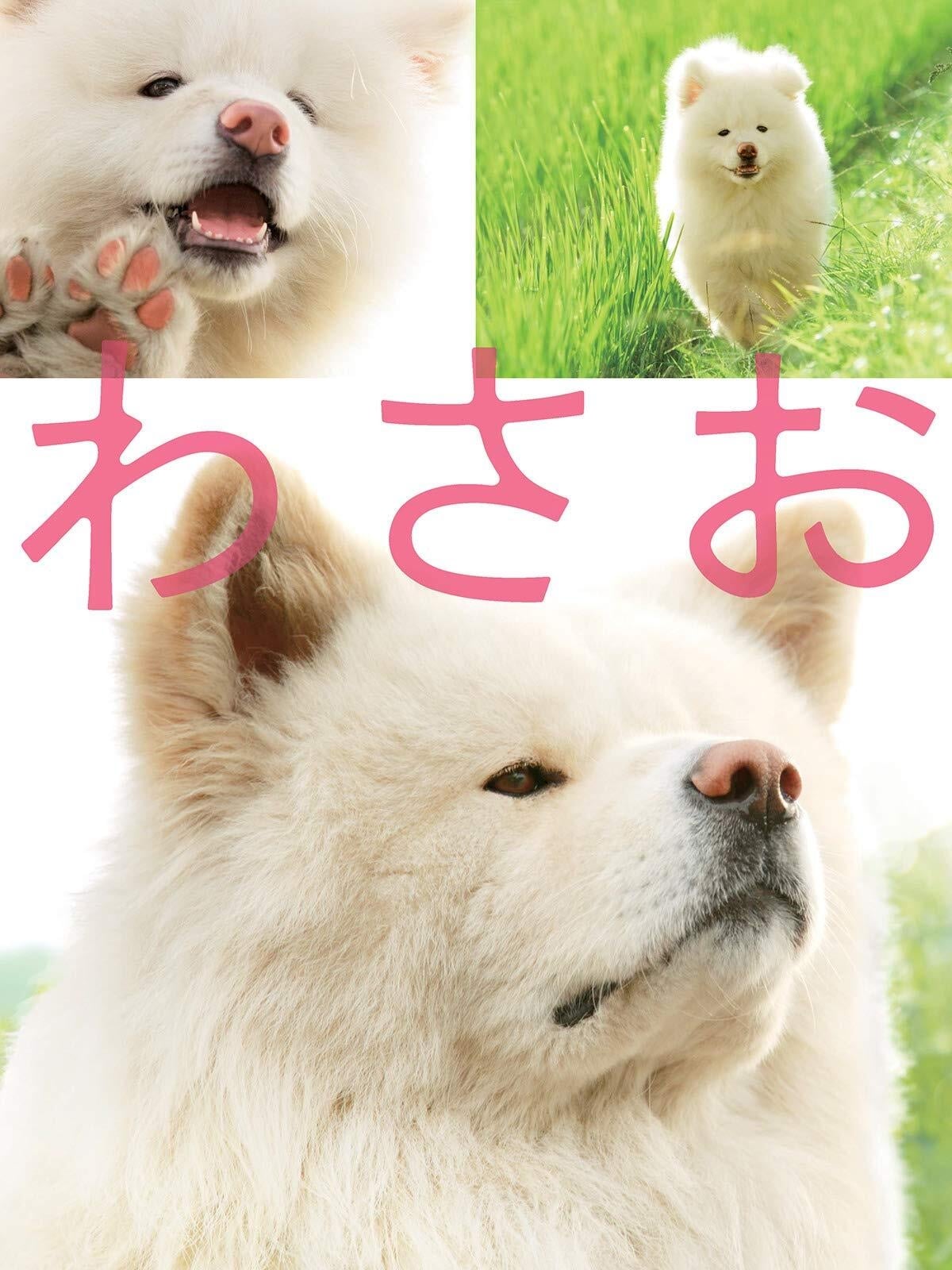 โปสเตอร์หนัง Wasao (2011) วาซาโอะ