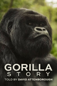 A Gorilla Story Told by David Attenborough เล่าเรื่องกอริลลา โดยเดวิด แอทเทนเบอเรอห์ (2026)