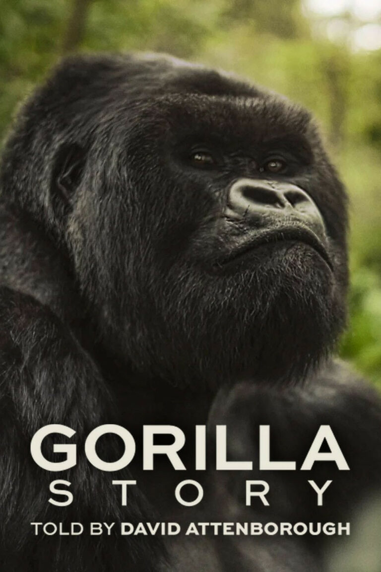 ดูหนัง A Gorilla Story Told by David Attenborough เล่าเรื่องกอริลลา โดยเดวิด แอทเทนเบอเรอห์ (2026)