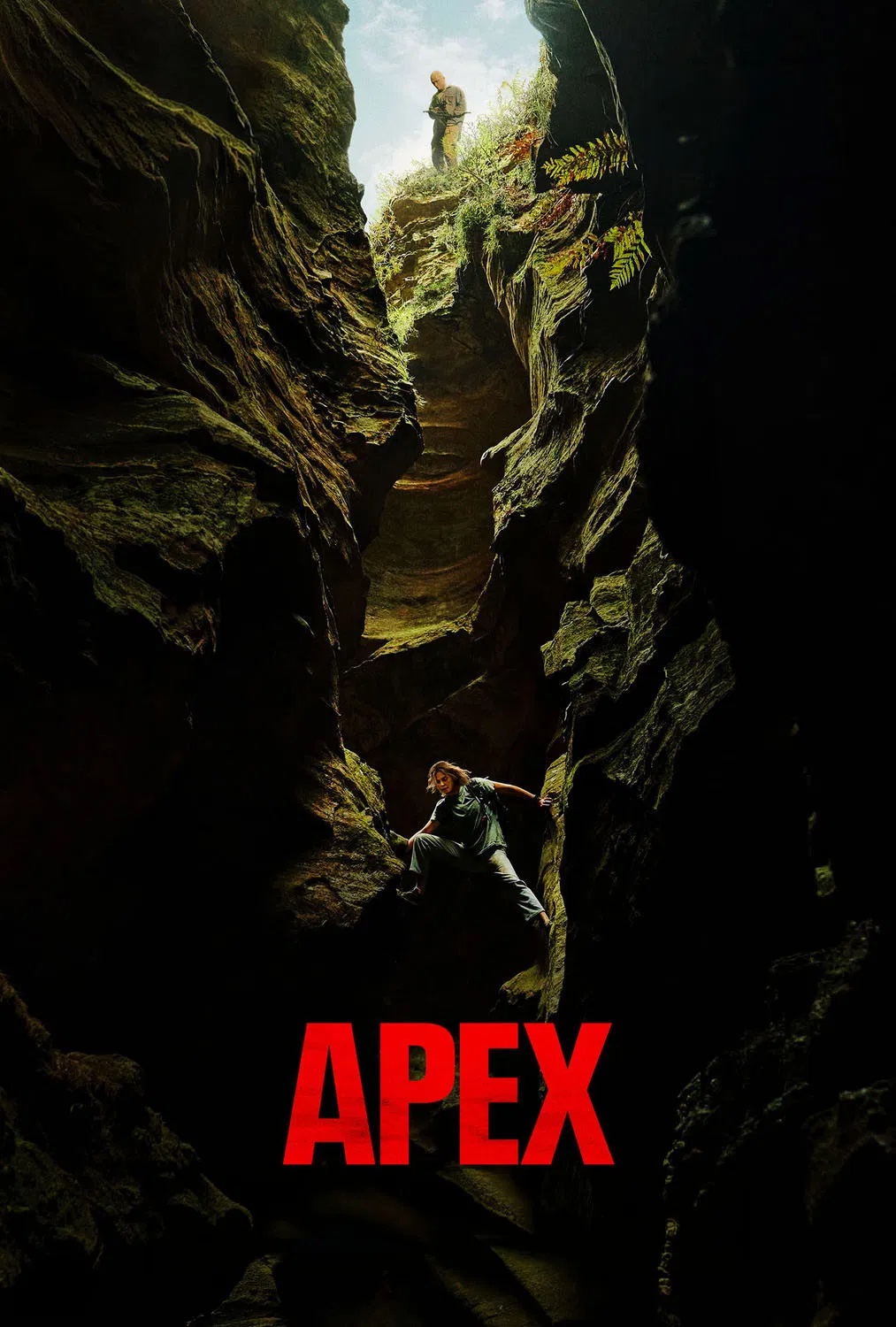 โปสเตอร์หนัง Apex ห่วงโซ่สังหาร (2026)