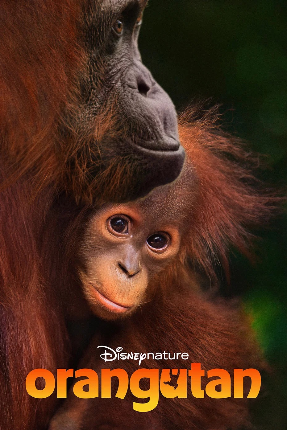 โปสเตอร์หนัง Orangutan (2026)